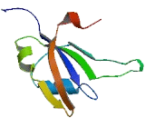 Heterogeneous Nuclear Ribonucleoprotein H2 (HNRPH2)