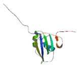 Heterogeneous Nuclear Ribonucleoprotein L Like Protein (HNRPLL)