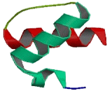 Heterogeneous Nuclear Ribonucleoprotein U Like Protein 1 (HNRPUL1)