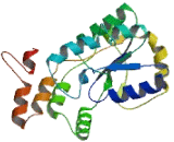 Heterogeneous Nuclear Ribonucleoprotein U Like Protein 2 (HNRPUL2)