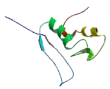 Zinc finger protein 203 (ZNF203)