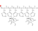 Hexa Histidine (H6)