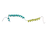 Hexamethylene Bis Acetamide Inducible Protein 1 (HEXIM1)