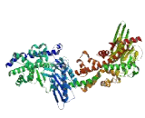 Hexokinase Domain Containing Protein 1 (HKDC1)