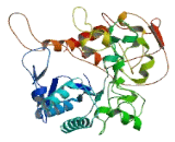 Hexosaminidase Domain Containing Protein (HEXDC)