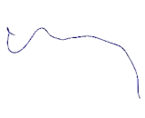 High Mobility Group AT Hook Protein 1 (HMGA1)