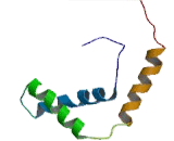 High Mobility Group Box Protein 2 (HMGB2)