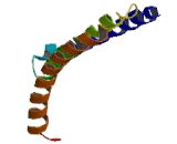 High Mobility Group Nucleosome Binding Domain Protein 3 (HMGN3)