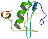 High Mobility Group Nucleosome Binding Domain Protein 4 (HMGN4)