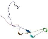 High Mobility Group Nucleosome Binding Domain Containing Protein 2 (HMGN2)