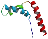 High Mobility Group Protein 2 Like Protein 1 (HMG2L1)