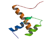 Highly Divergent Homeobox Protein (HDX)