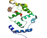 Hippocalcin Like Protein 1 (HPCAL1)