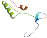 Hippocampus Abundant Transcript Like Protein 1 (HIAT1)