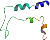 Histamine Receptor H1 (HRH1)