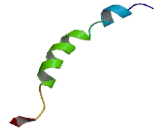 Histamine Receptor H2 (HRH2)