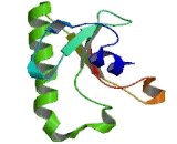 Histidine Triad Nucleotide Binding Protein 3 (HINT3)