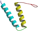 Histidyl tRNA Synthetase (HARS)