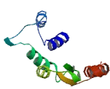 Histocompatibility Serpin Domain Containing Protein (HMSD)