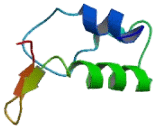 Histone Cluster 1, H1a (HIST1H1A)