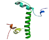 Histone Cluster 1, H2ab (HIST1H2AB)