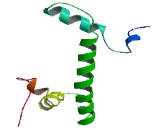 Histone Cluster 1, H2ag (HIST1H2AG)