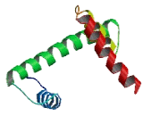 Histone Cluster 1, H2ba (HIST1H2BA)