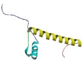 Histone Cluster 1, H2bb (HIST1H2BB)