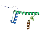 Histone Cluster 1, H2bc (HIST1H2BC)