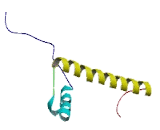 Histone Cluster 1, H2bo (HIST1H2BO)