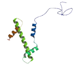 Histone Cluster 1, H3a (HIST1H3A)