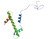 Histone Cluster 1, H3j (HIST1H3J)