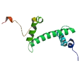 Histone Cluster 2, H2ab (HIST2H2AB)