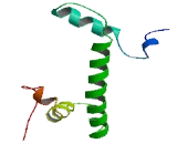 Histone Cluster 2, H2ac (HIST2H2AC)