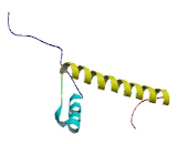 Histone Cluster 2, H2bd (HIST2H2BD)