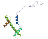 Histone Cluster 2, H3a (HIST2H3A)