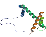 Histone Cluster 3, H2bb (HIST3H2BB)