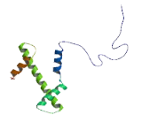 Histone Cluster 3, H3 (HIST3H3)