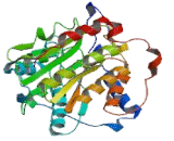 Histone Deacetylase 6 (HDAC6)