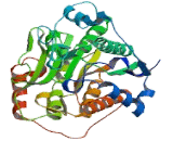 Histone Deacetylase 7 (HDAC7)