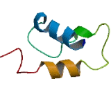 Histone Linker H1 Domain, Spermatid Specific 1 (HILS1)