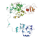 Holliday Junction Recognition Protein (HJURP)