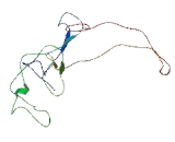 Holocytochrome C Synthase (HCCS)