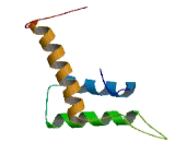 Homeobox Containing Protein 1 (HMBOX1)