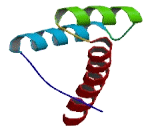 Homeobox Protein A11 (HOXA11)