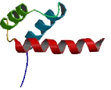 Homeobox Protein A3 (HOXA3)