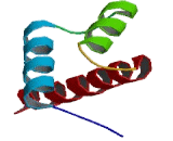 Homeobox Protein B1 (HOXB1)