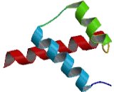 Homeobox Protein B2 (HOXB2)