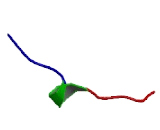 Homeobox Protein B8 (HOXB8)