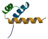 Homeobox Protein D3 (HOXD3)